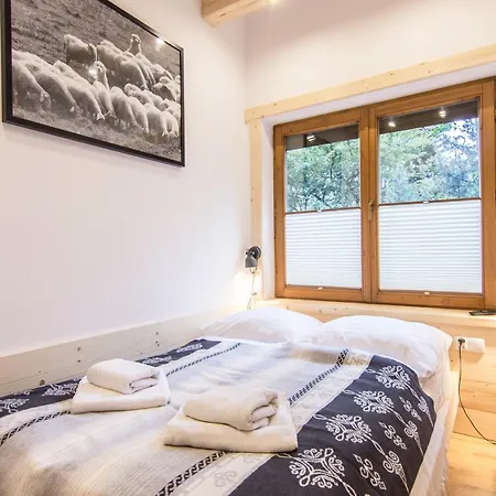 Orkana Centrum Apartman *