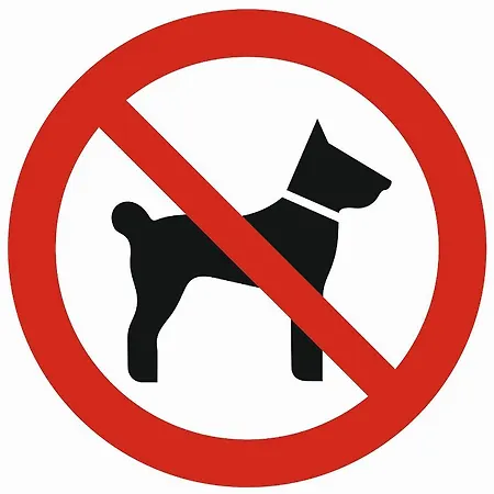 公寓 Orkana Centrum *