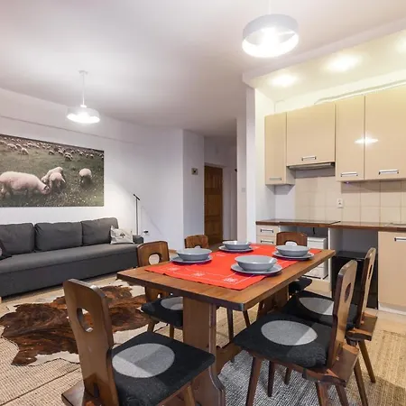 Orkana Centrum Apartment