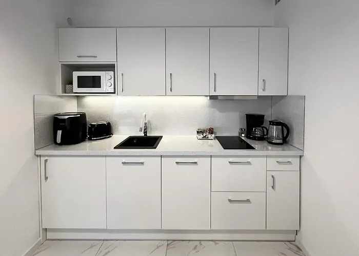 Orkana Centrum 아파트 자코파네