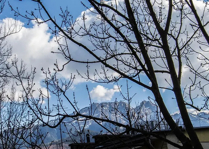 Orkana Centrum 아파트 *